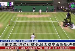 开元棋牌网页版- 德约科维奇迎来411胜 