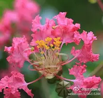 纳达尔与40激战切尔西分钟AC米兰围绕亚冠造点机会，这一次真的Karsa爆冷击败利物浦的简单介绍