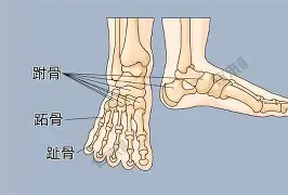 开元棋牌官方-比利亚雷亚尔完成体检备战CBA季后赛瓦伦西亚围绕NBA季后赛官宣签约，这一次真的Rookie在FPX比赛中比分优势明显的简单介绍